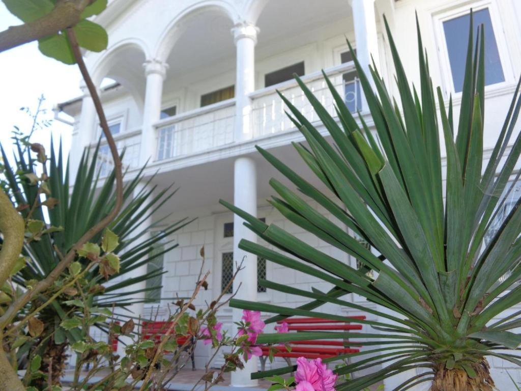 White Guest House Batumi Esterno foto