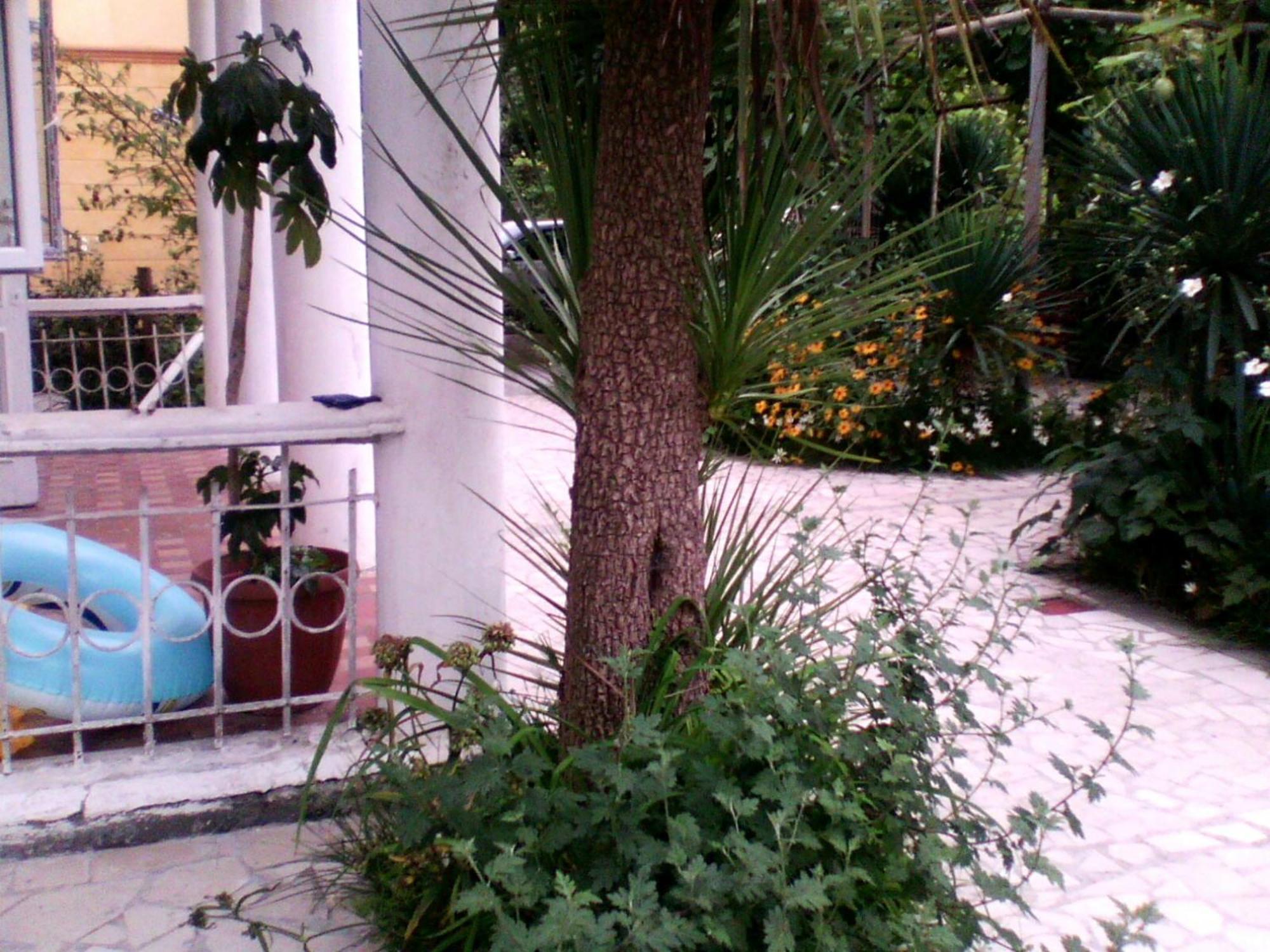White Guest House Batumi Esterno foto