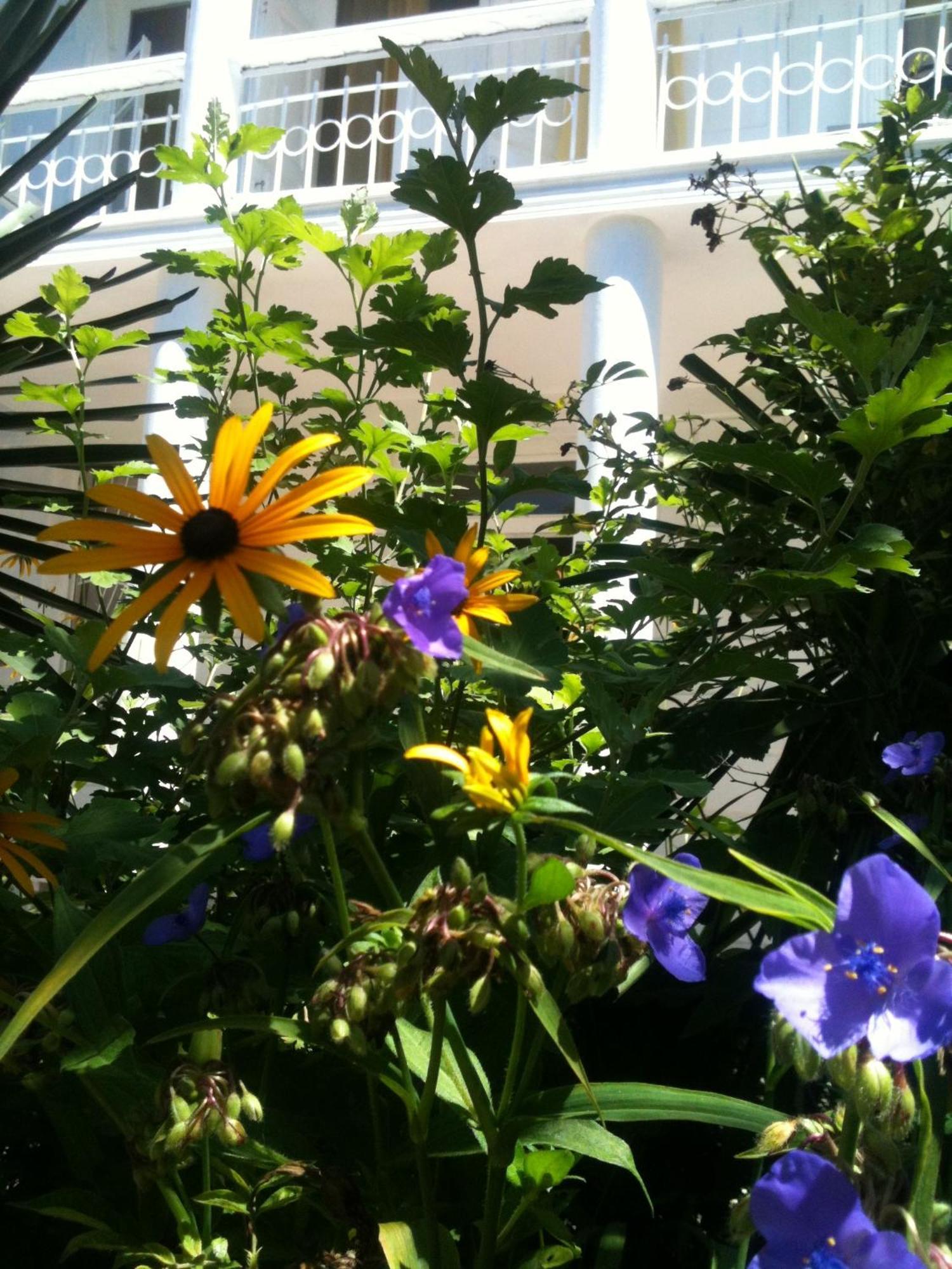 White Guest House Batumi Camera foto